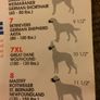 dog muzzle Image 6
