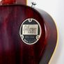 Switchplate Cover for Les Paul Image 2
