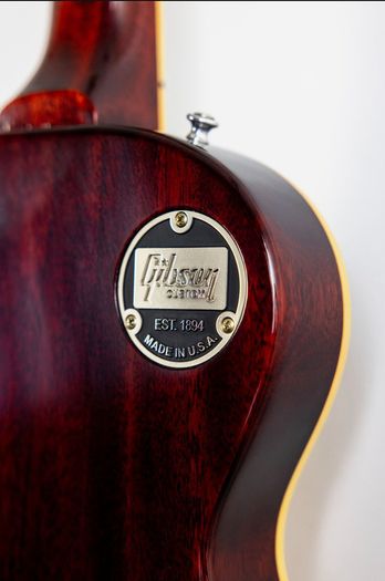 Switchplate Cover for Les Paul