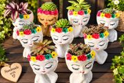 small handmade flower pots with real plants