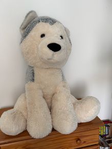 teddy bear