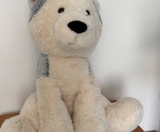 teddy bear