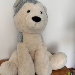 teddy bear