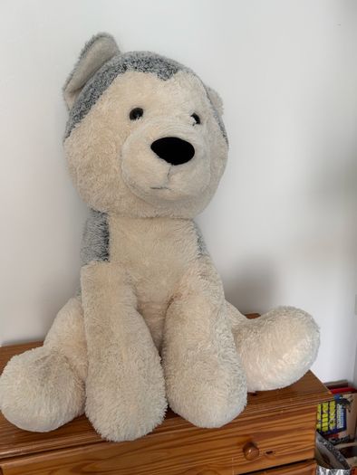 teddy bear