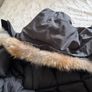 jackets Image 2