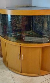 Juwel 350 corner aquarium