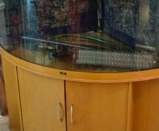Juwel 350 corner aquarium