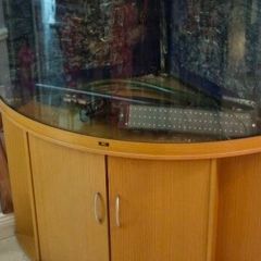 Juwel 350 corner aquarium