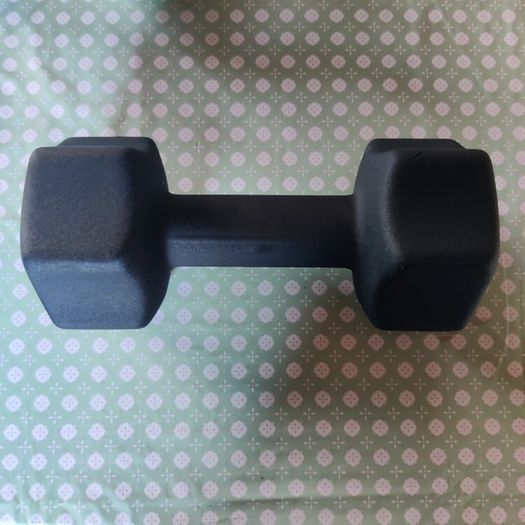 10kg Dumbbell