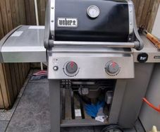 Weber Genesis II