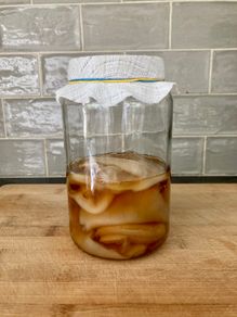Organic Kombucha scooby