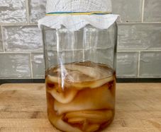 Organic Kombucha scooby