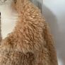 Beige Teddy Coat Image 2