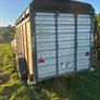 12x6 Ifor Williams cattle box Image 7