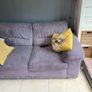 2 seater grey couch Image 3