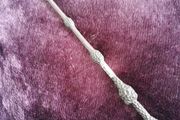 WAND - Harry Potter - The Elder Wand