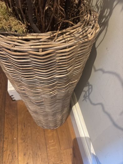 Very tall rattan planter with contorted willow