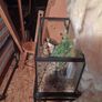 Fishtank Image 3