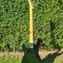 Vintage 1986 Epiphone Accu Bass Image 3