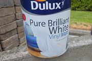 Paint