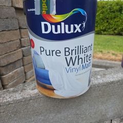Paint
