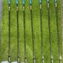 taylormade R Bladez irons Image 3