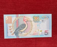 Suriname Birds Banknotes