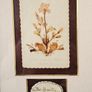 Vintage Framed Dried Pressed Wildflowers Picture Art Image 2