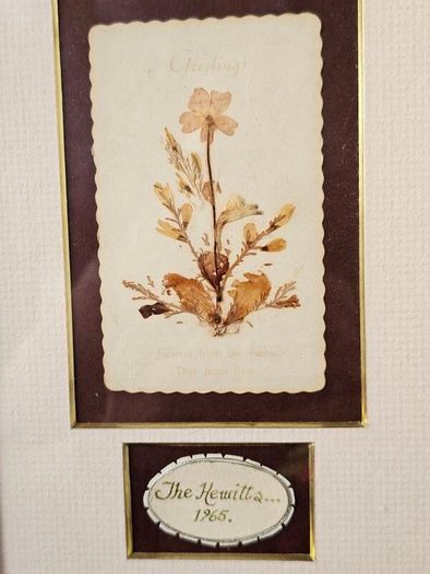 Vintage Framed Dried Pressed Wildflowers Picture Art