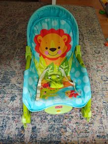 Fisher Price Baby Rocker/Bouncer