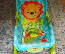 Fisher Price Baby Rocker/Bouncer
