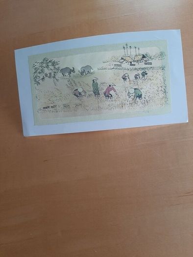 Rural Vietnamese scene