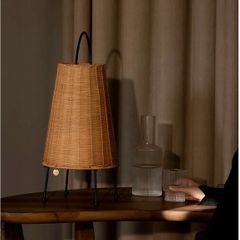 Floor Lamp / Portable