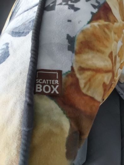 3x Scatterbox cushions