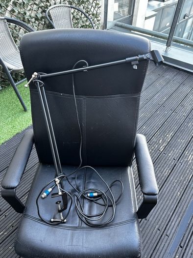 Microphone arm