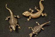 3 brass lizards.