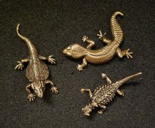 3 brass lizards.