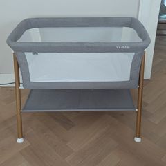 Cot