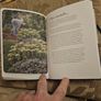 The Royal Horticultural Society Journal.  By Mitchell Beazley. Beautiful Illustrated Hardback Journal Of Month By Month Managment Of Your Allotment.  In Good Condition.  See Photos For Same. Image 5