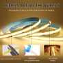 5M COB LED Dimmable Light Strip Image 3