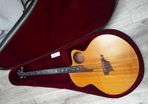 Taylor AB-1 ex John Entwistle