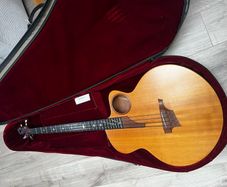 Taylor AB-1 ex John Entwistle