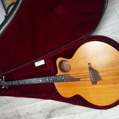 Taylor AB-1 ex John Entwistle
