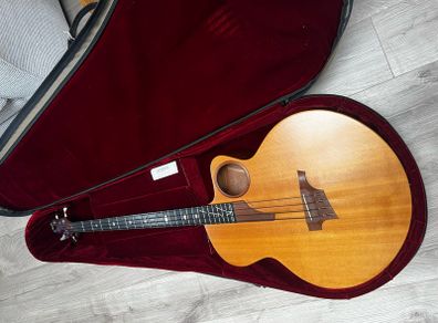 Taylor AB-1 ex John Entwistle