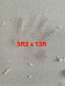 carpet 5ft3 x 13ft