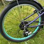 trek girls bike Image 6