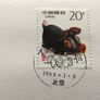 1995 Year of the Pig | Rare Proof 1000 Shillings coin in China stamp cover Image 4