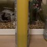 Fish tank Image 6