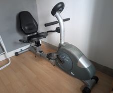 Recumbent Bike