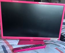 Logik tv 24"